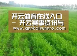 种植基地四