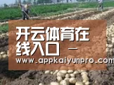 种植基地七(图1)