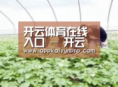 种植基地三