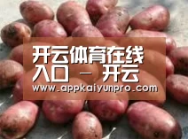 产品展示标题5