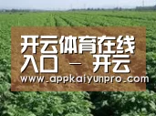 种植基地五(图1)