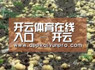 种植基地七