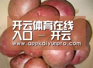 产品展示标题1