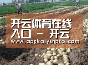 种植基地八
