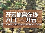 种植基地八(图1)