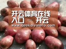 产品展示标题5(图1)