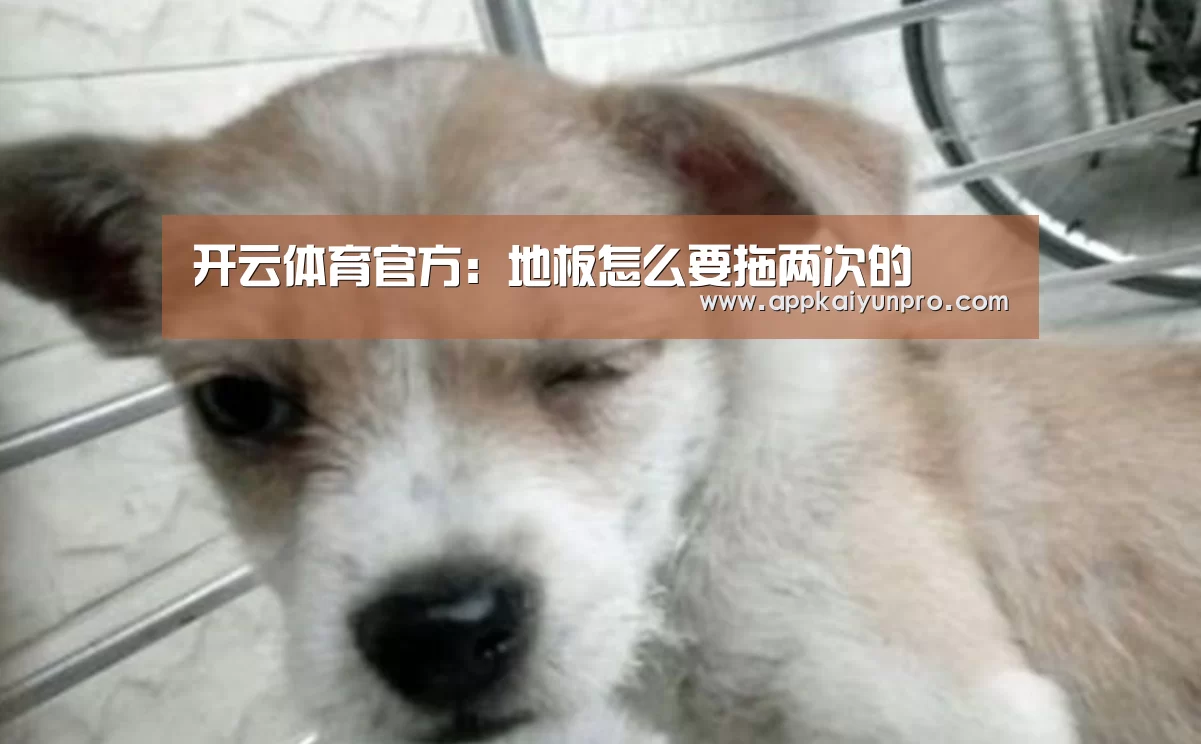 开云体育官方:地板怎么要拖两次的(图1) 开云体育官方