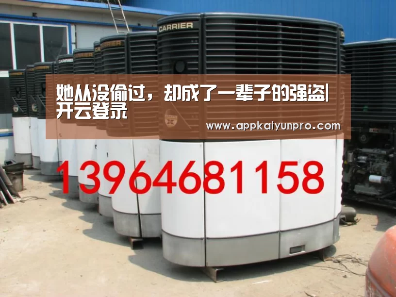 她从没偷过,却成了一辈子的强盗|开云登录(图2) 开云体育官网