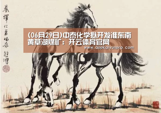 开云体育数据中心