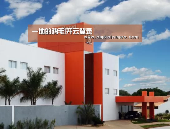 一地的鸡毛|开云登录(图2) 开云体育数据中心