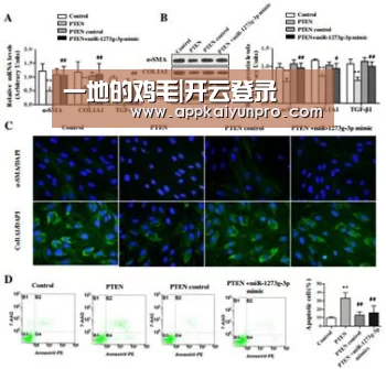 一地的鸡毛|开云登录(图4) 开云体育官方
