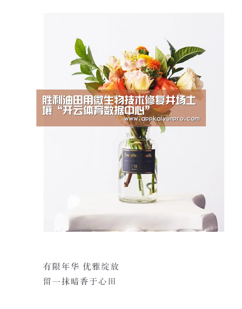 开云体育数据中心
