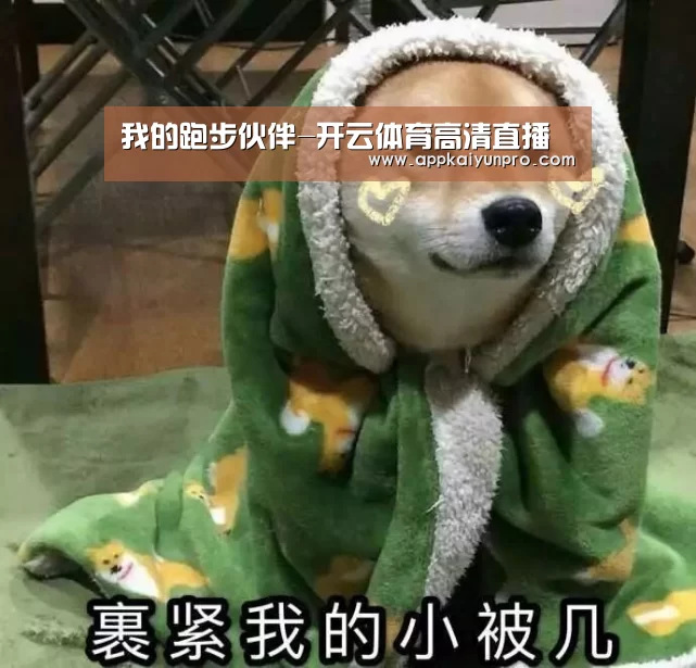 开云体育官网