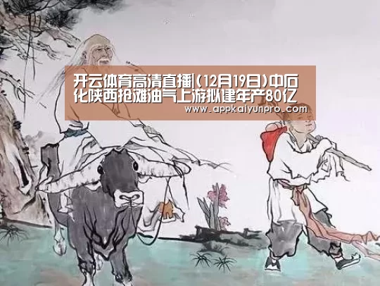 开云体育官网