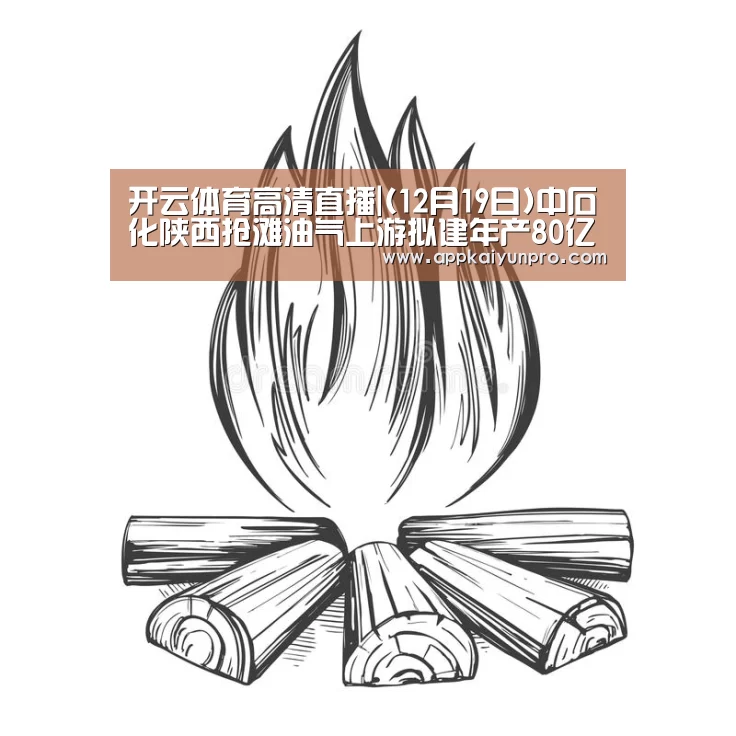 开云体育官网