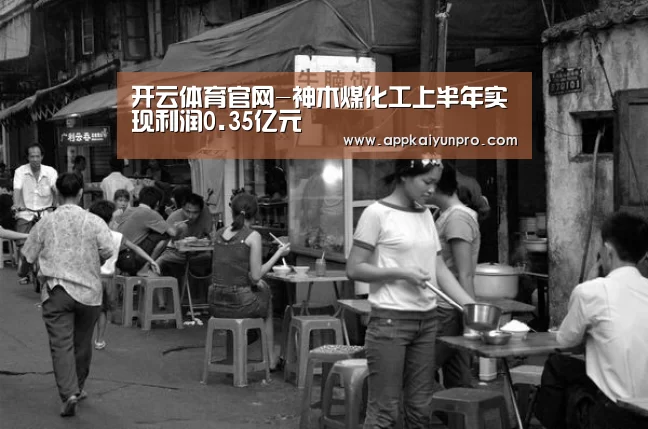 开云体育官网-神木煤化工上半年实现利润0.35亿元(图3) 开云体育高清直播