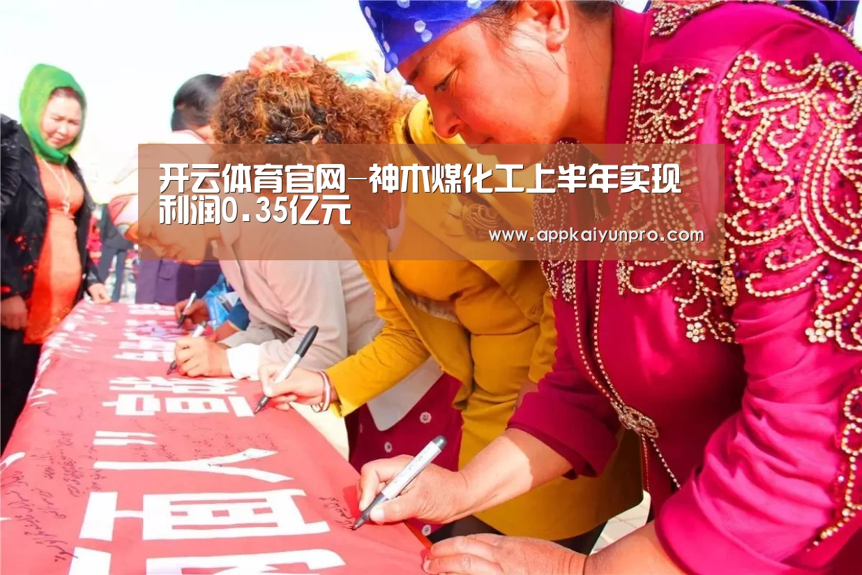 开云体育官网-神木煤化工上半年实现利润0.35亿元(图1) 开云体育高清直播