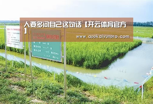 开云体育官方
