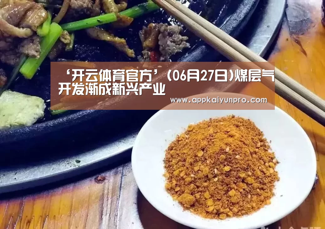 ‘开云体育官方’(06月27日)煤层气开发渐成新兴产业(图1) 开云体育数据中心