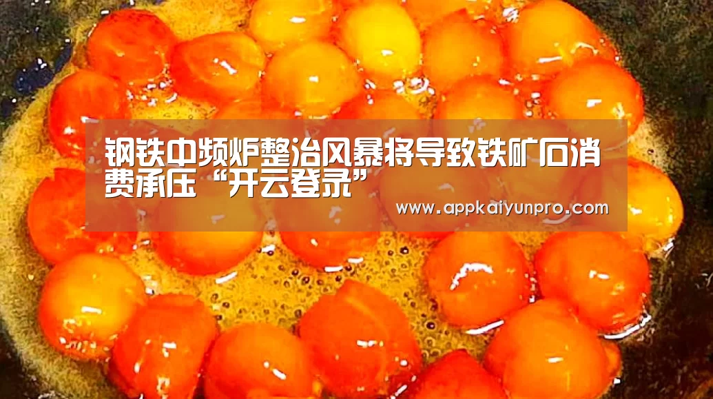 钢铁中频炉整治风暴将导致铁矿石消费承压“开云登录”(图4) 开云登录