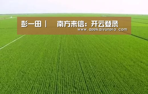 彭一田 | 南方来信:开云登录(图1) 开云体育官网