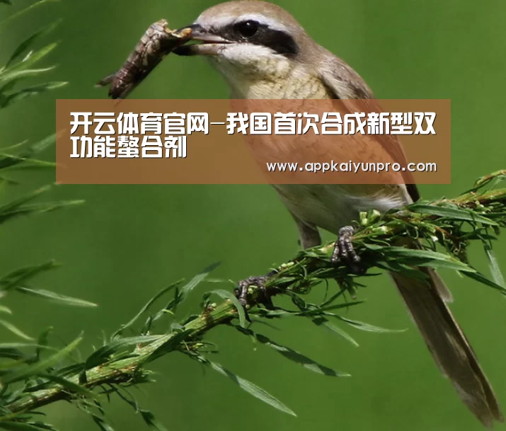 开云体育数据中心