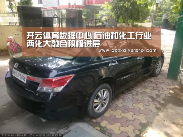 开云登录