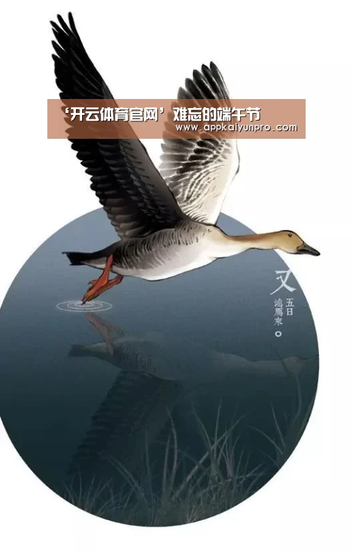 ‘开云体育官网’难忘的端午节(图1) 开云登录