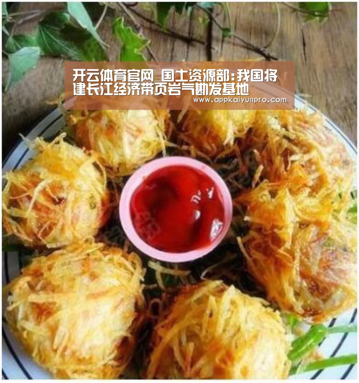 开云体育官网