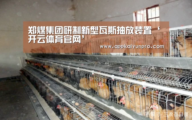 开云体育高清直播