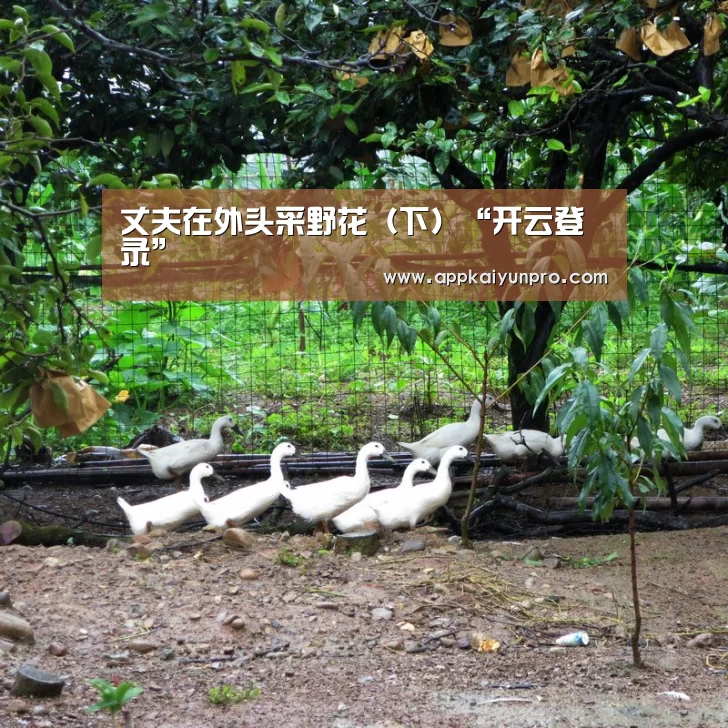丈夫在外头采野花(下)“开云登录”(图3) 开云体育官方