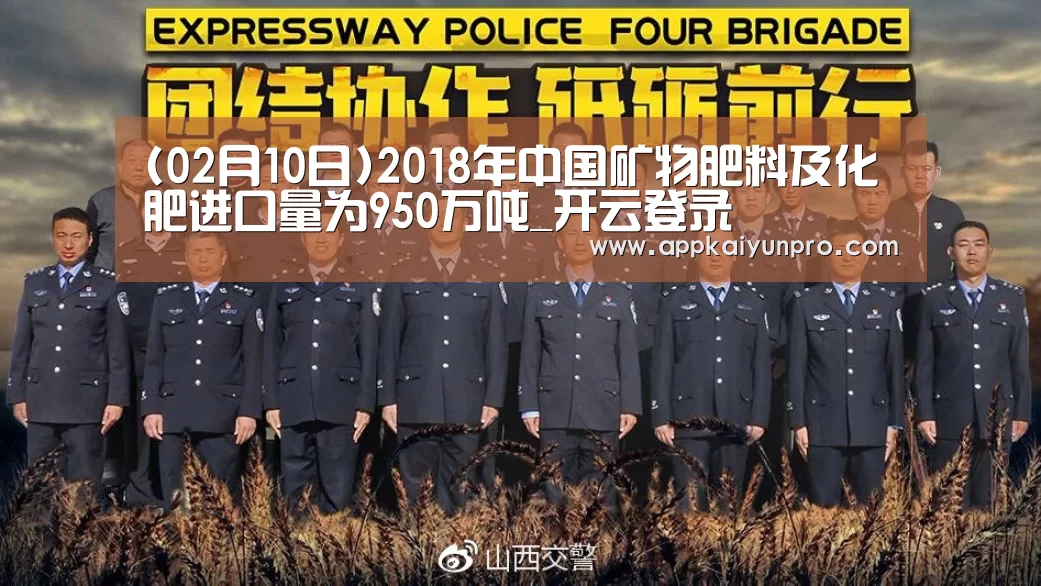 (02月10日)2018年中国矿物肥料及化肥进口量为950万吨_开云登录(图1) 开云登录