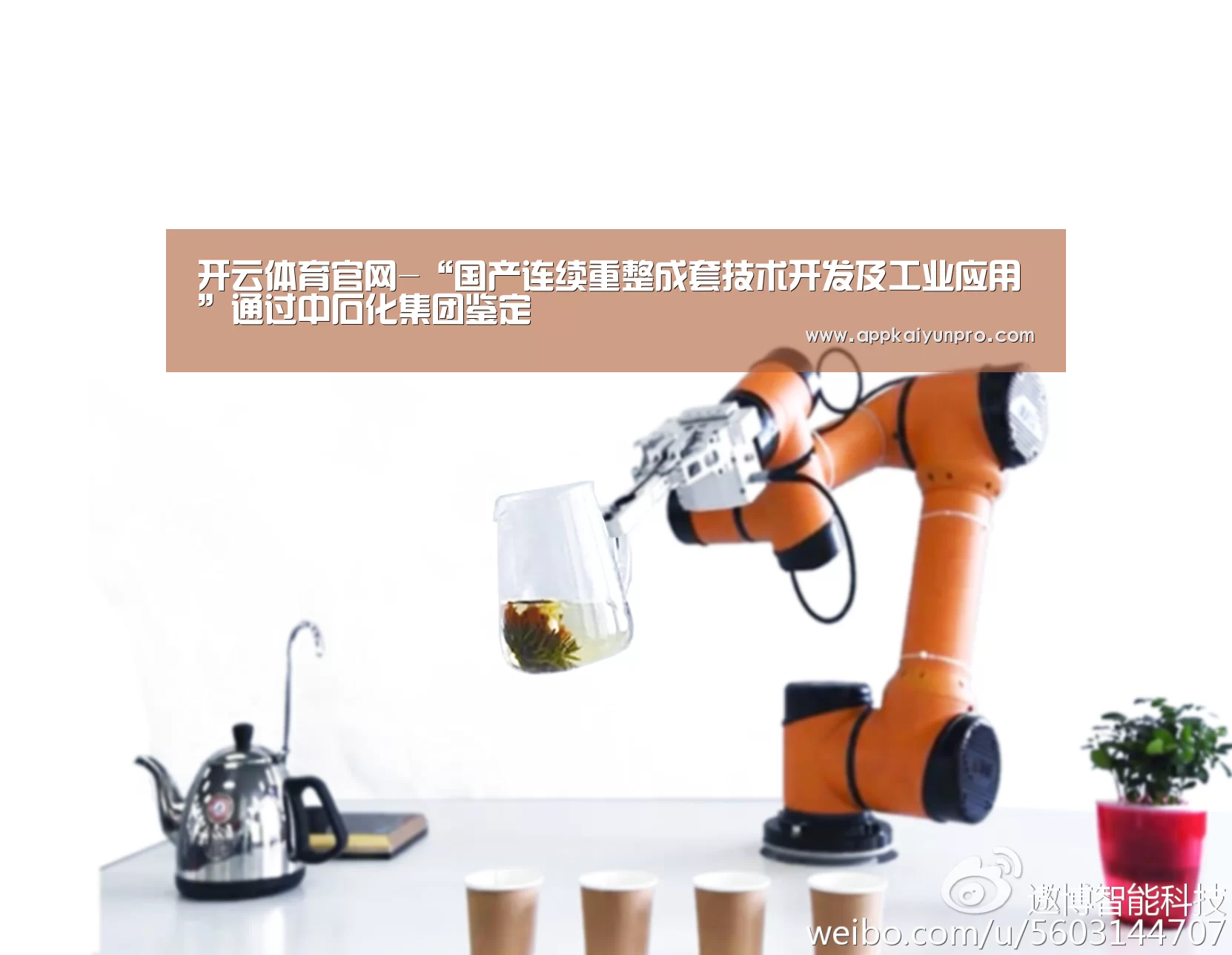 开云登录