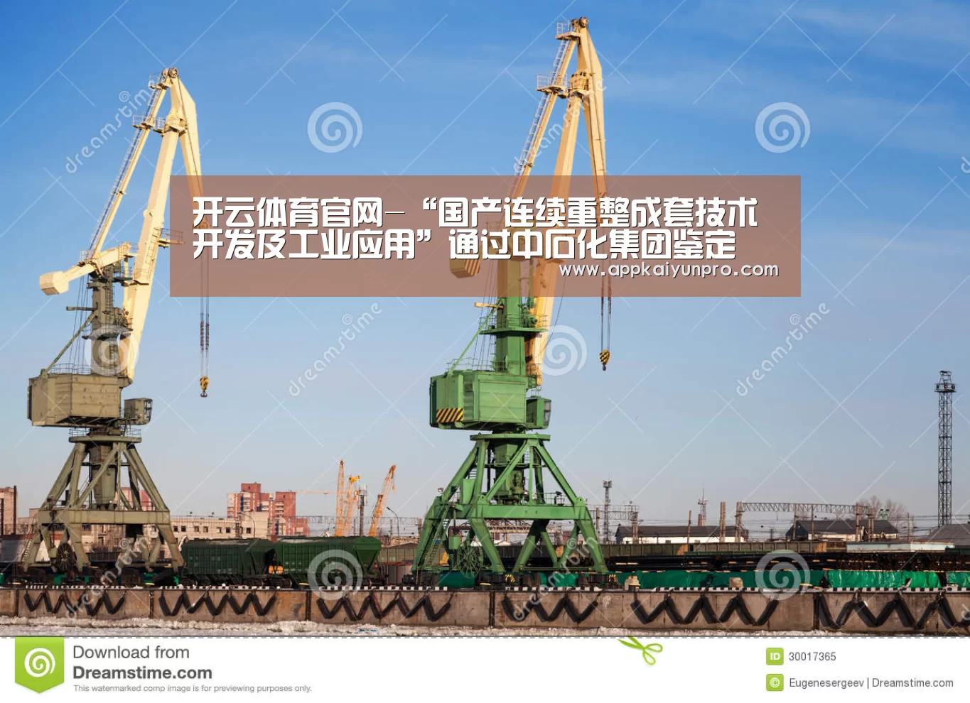 开云体育官网