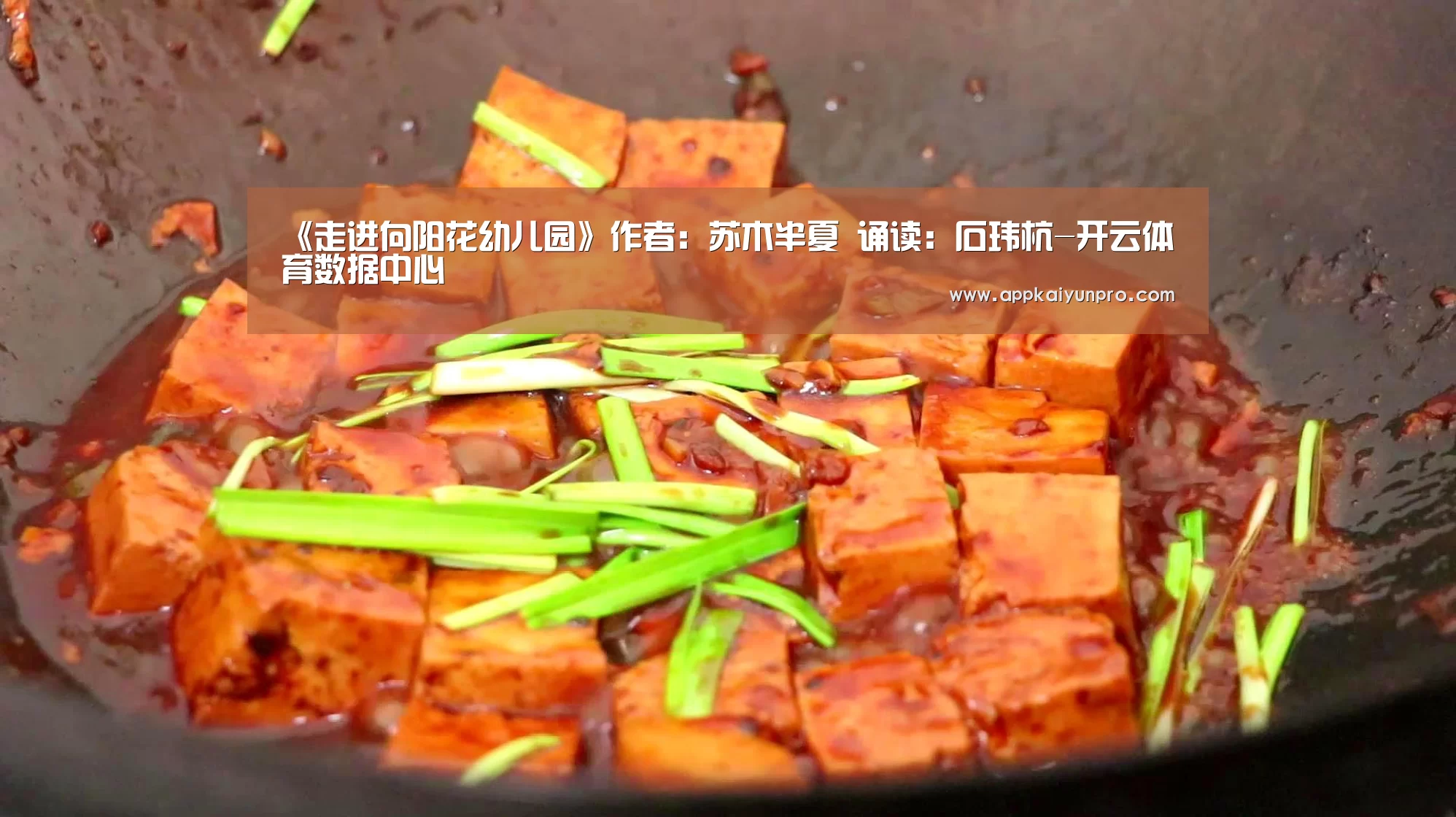 开云登录