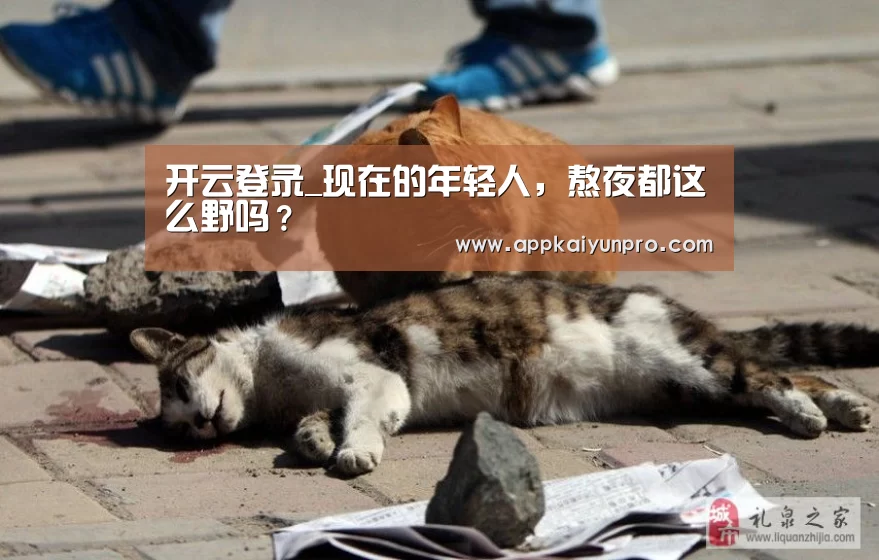 开云体育高清直播
