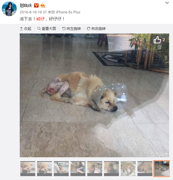 开云体育数据中心|涅槃(图2) 开云体育数据中心